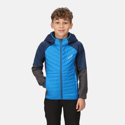 Fibras Y Plumas Niños - REGATTA Kielder Hybrid VI - Skydvr/DkGry