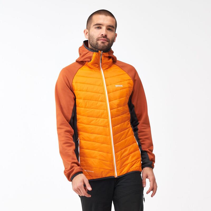 Andreson VIII Hybrid Homme Sport Veste hybride cloisonnée déperlante