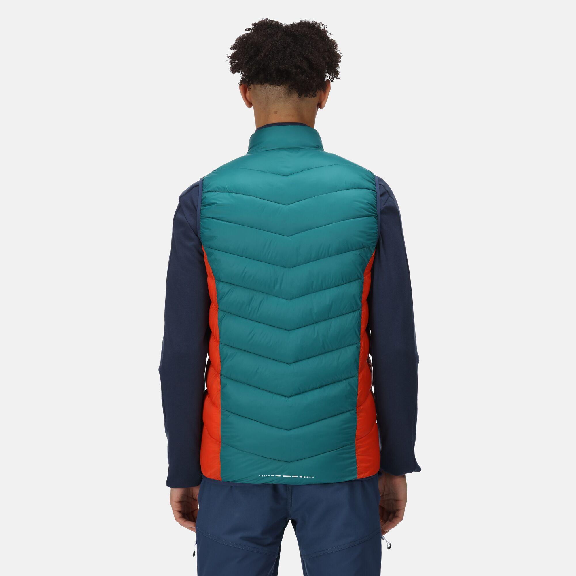 Men's Harrock Lightweight Bodywarmer 2/5