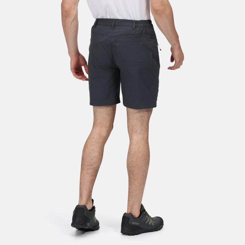 REGATTA Regatta Shorts Highton Short Mid  Hommes India Grey