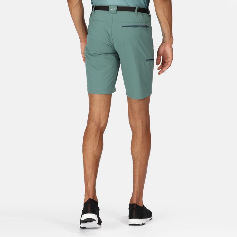 Short de randonnée stretch Regatta Xert III pour hommes, vert sauge