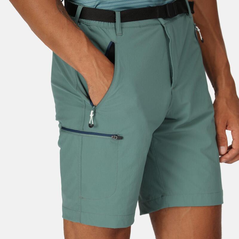 Calças de caminhada para homem - REGATTA Xert StrShort III - Sea Pine