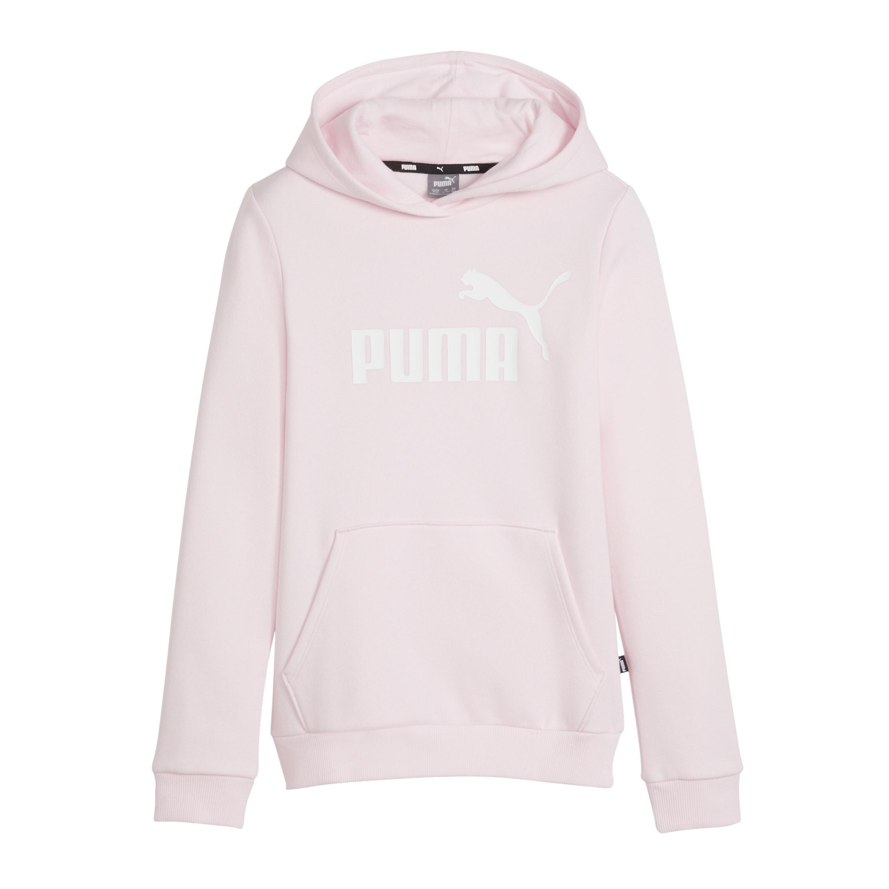 PUMA picture