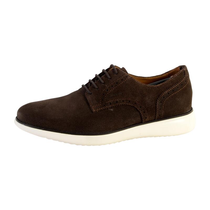 Chaussure Geox U Winfred A - Homme