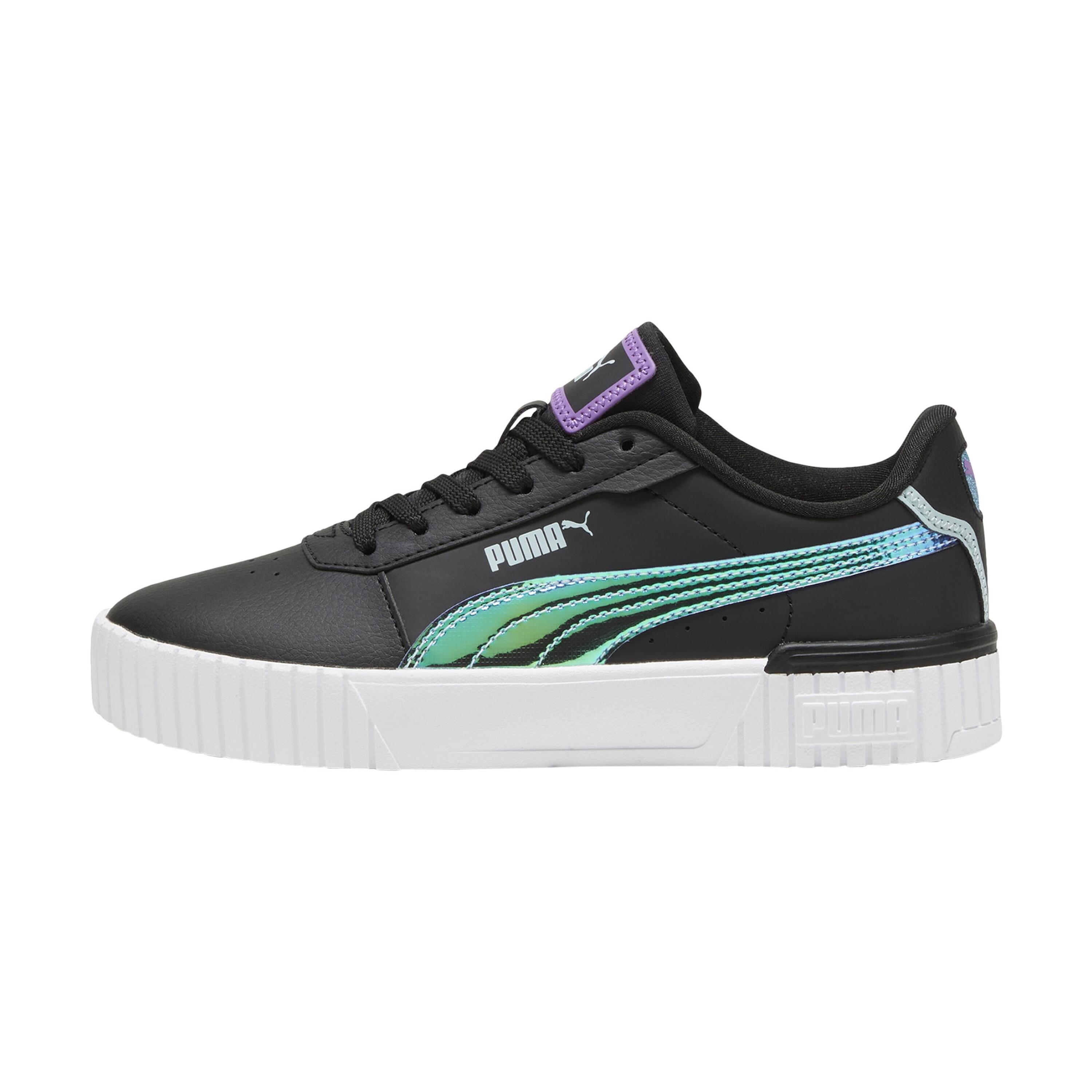 PUMA picture