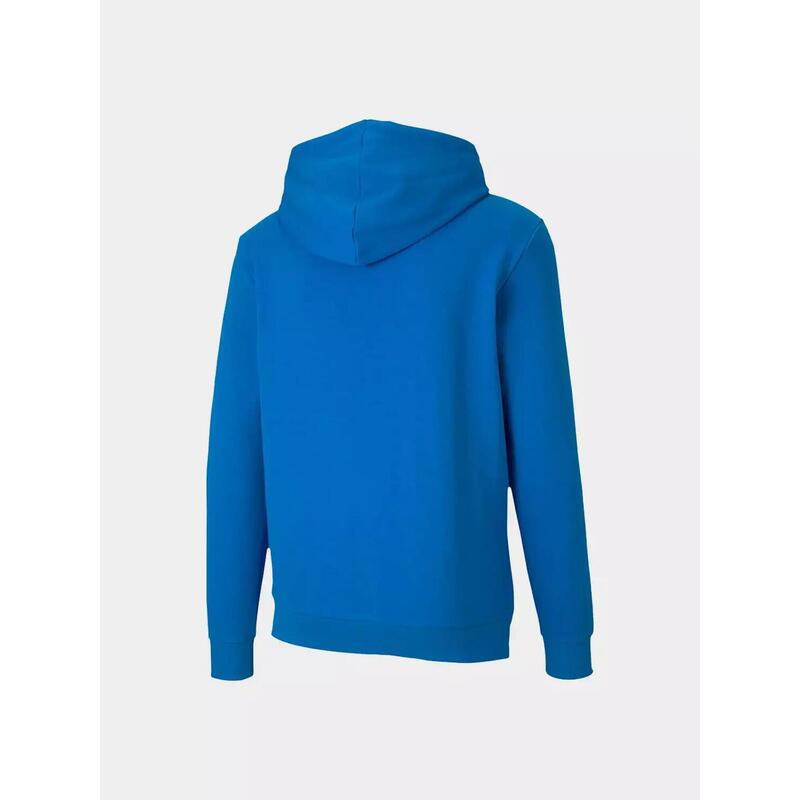 Bluza Puma TeamGoal 23 Casuals męska