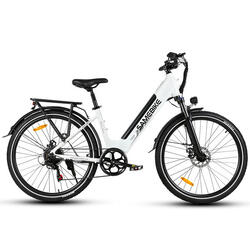 Elektrische stadsfiets RS-A01 PRO 36V-15Ah (540Wh) - 27,5x2,1" wiel