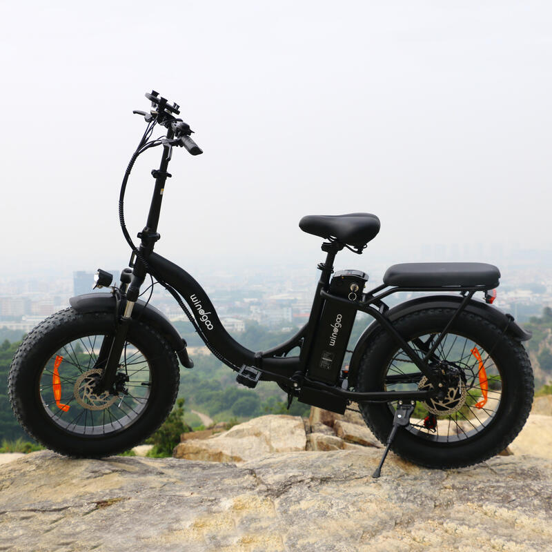 Bicicleta eléctrica E20 PRO 48-12,5Ah (600Wh) - fatbike 20"x4"