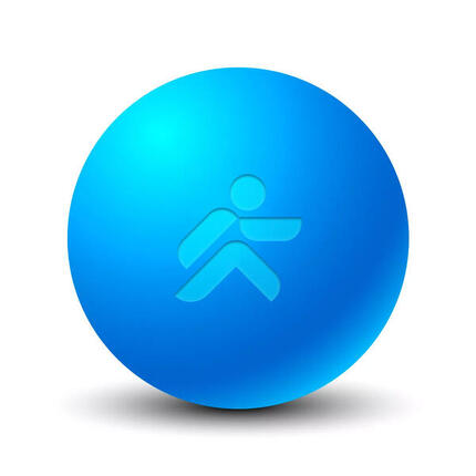 Ebonite massagebal Ø 6cm "Foam Ball" JustFit