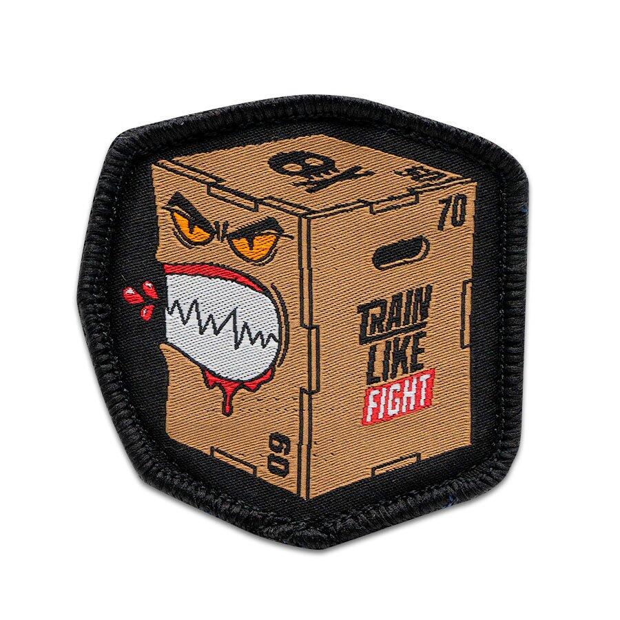TRAIN LIKE FIGHT picture