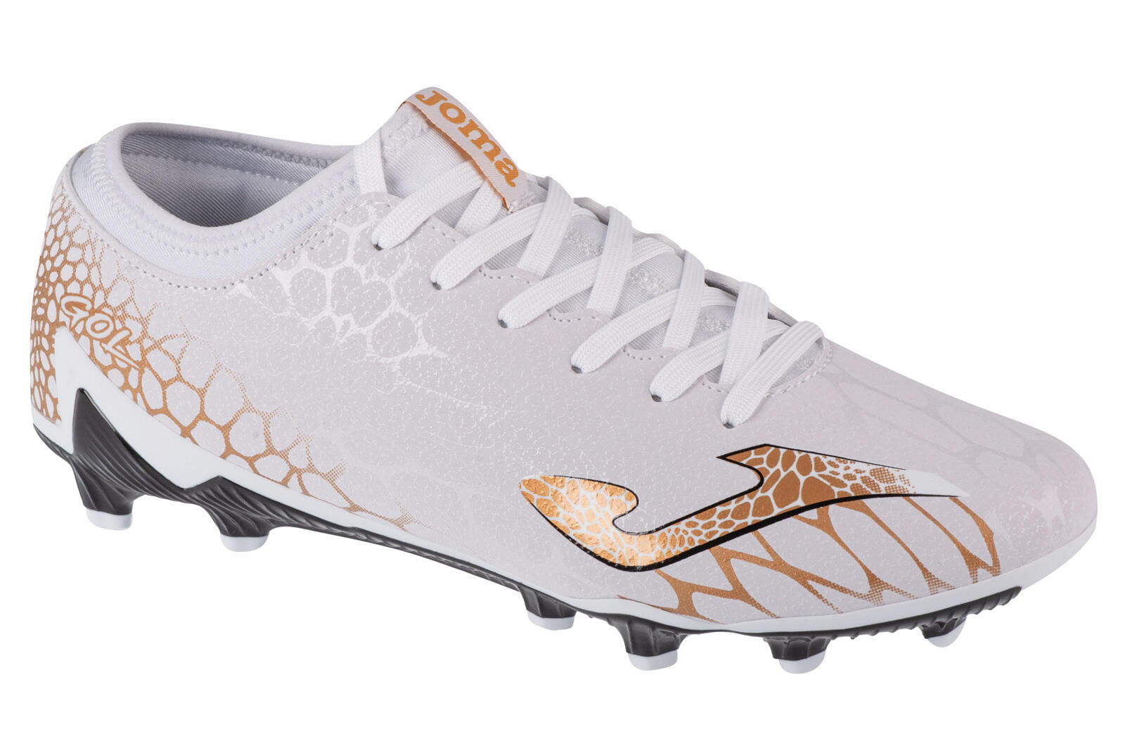 JOMA picture