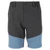 WHISTLER Short de trekking AVIAN M ACTIV STRETCH