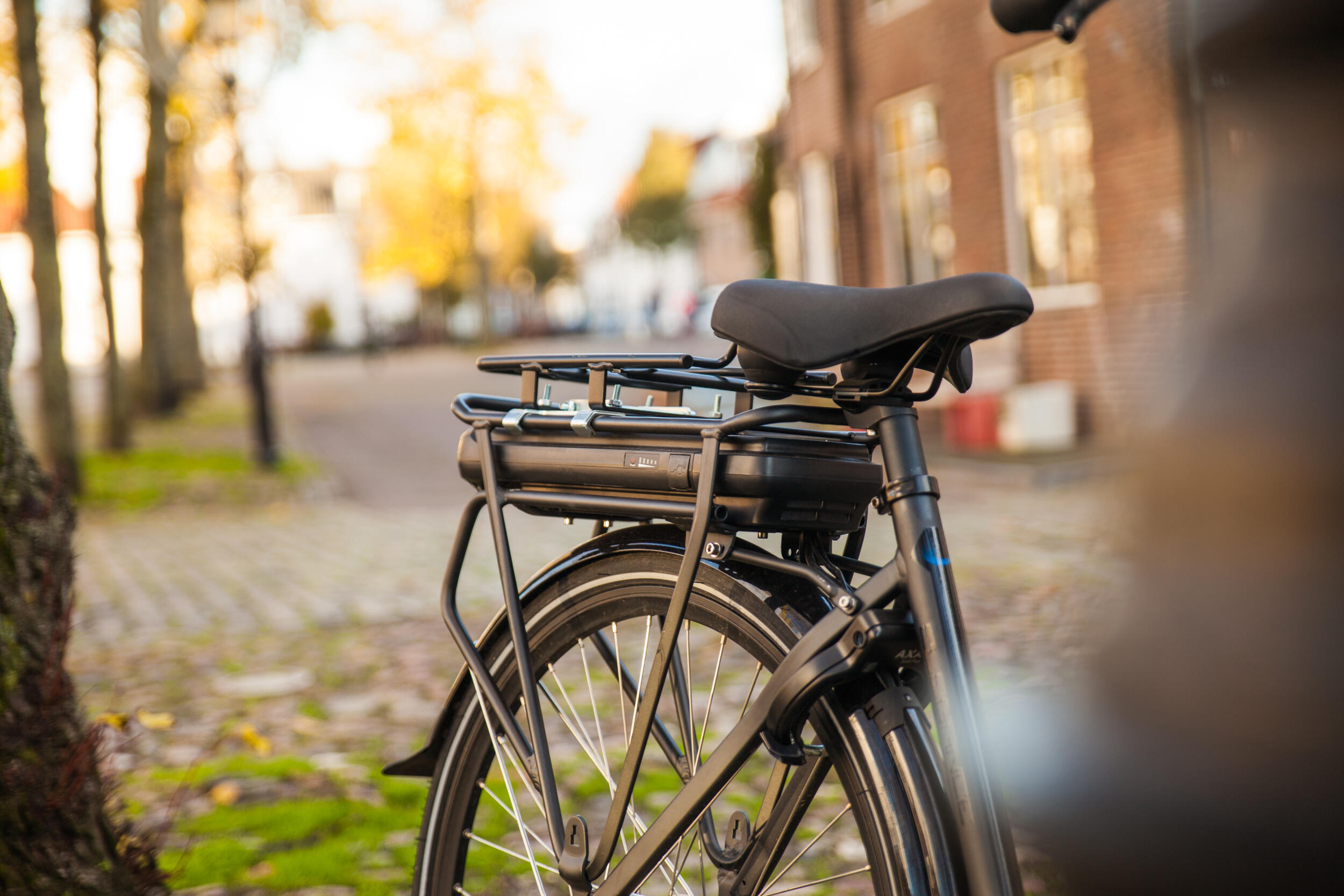Drager A E-Bike Opzet Duo Univ Zilver 4/5
