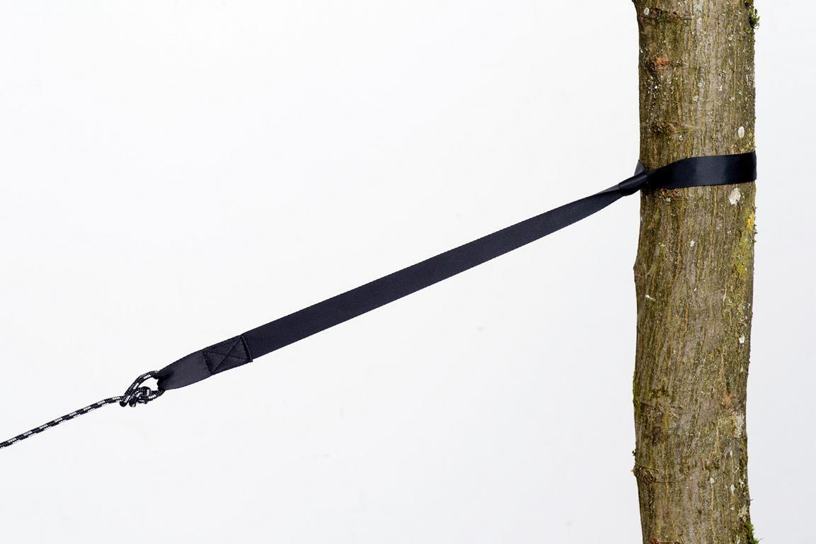 Amazonas Le chasseur d'arbres 5/6