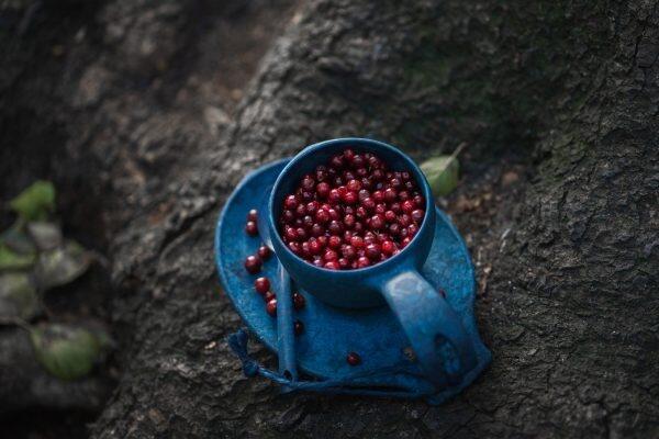 Kupilka 14 - Small Plate - Blueberry (blauw) 6/6