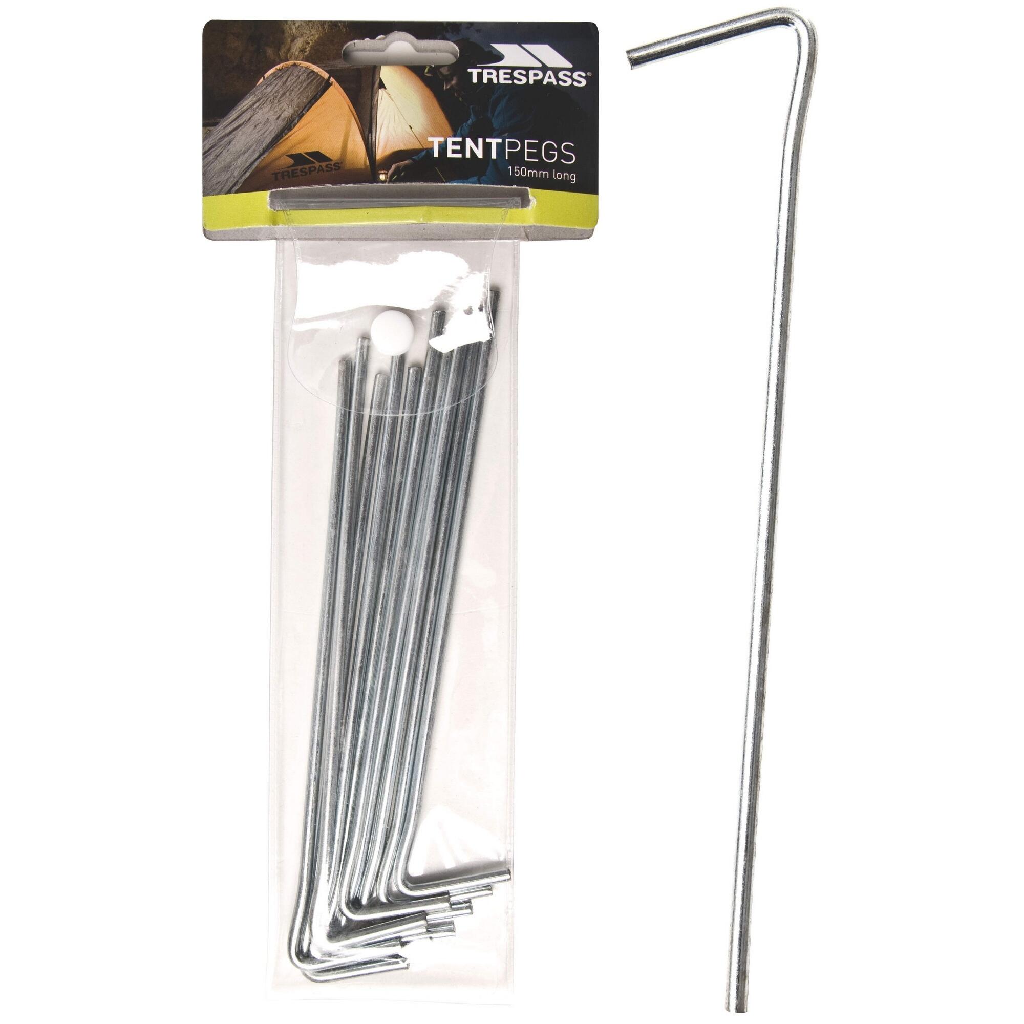 Axion Steel Tent Peg (Pack Of 10) (Silver) 3/4