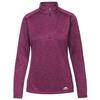 Dames Fairford Fleece Top (Paars)