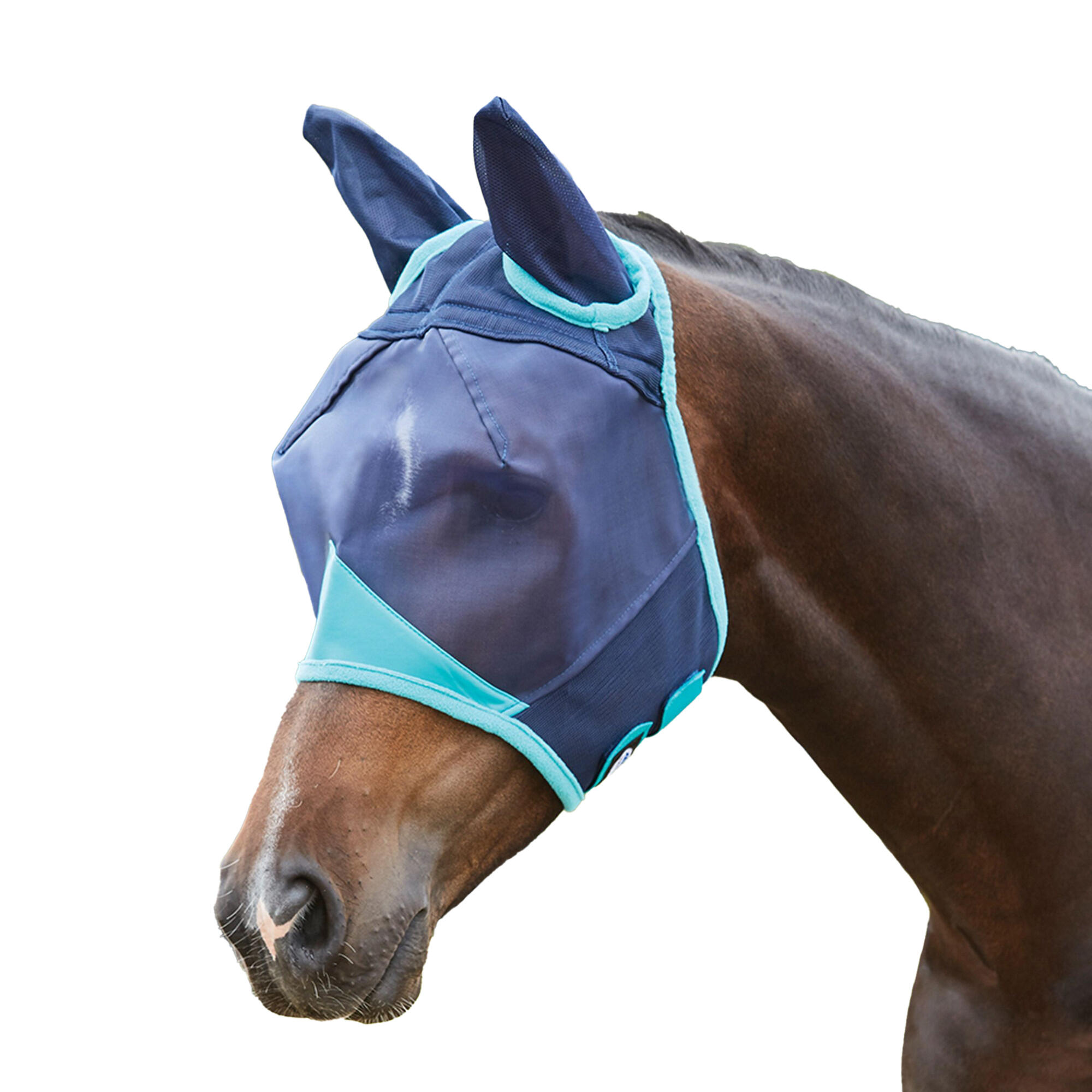 Comfitec Fine Mesh Mask With Ears (Navy/Turquoise) 3/3