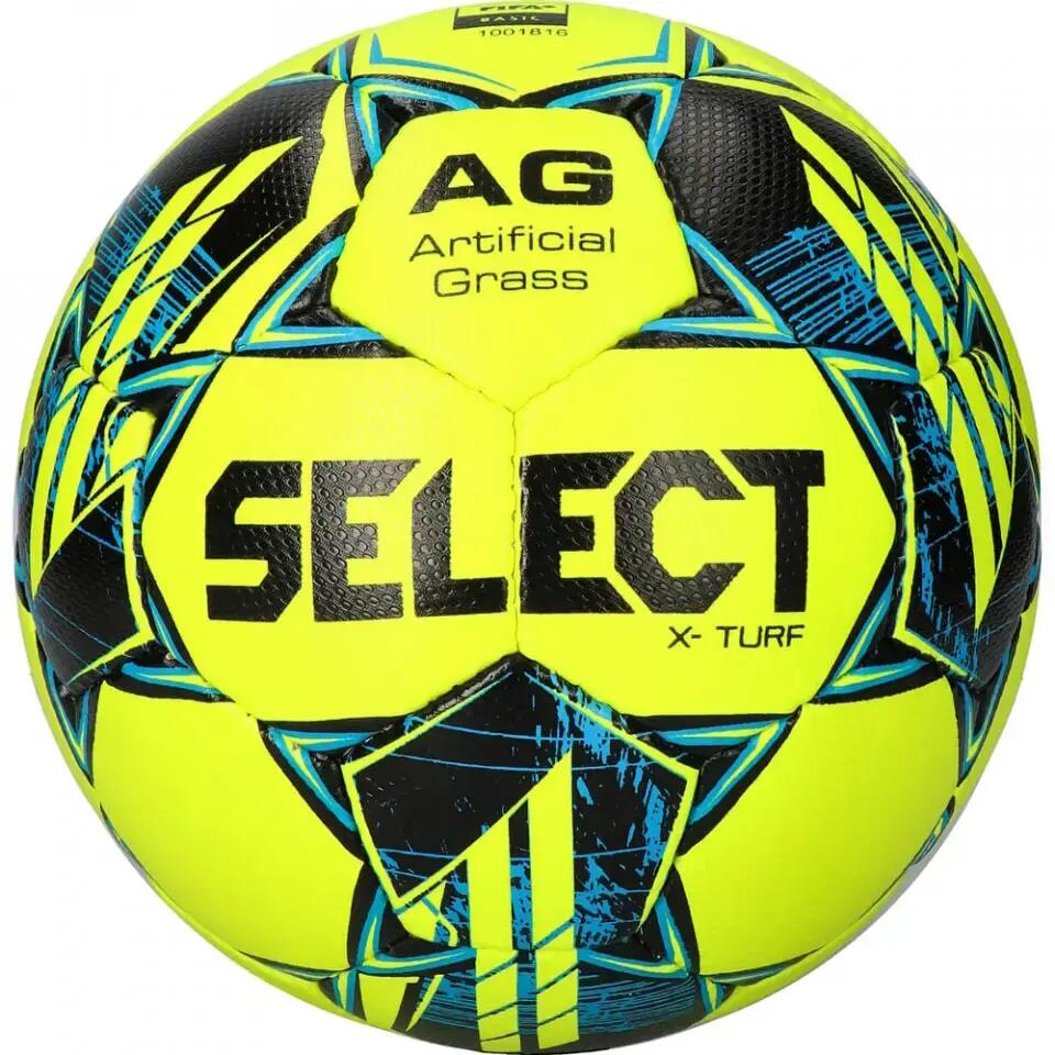 SELECT picture