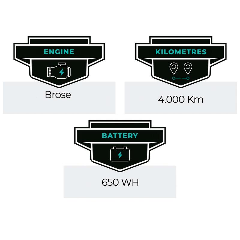 Reconditionné - Bulls E-Stream Evo FS 3 RS XT - Bon état