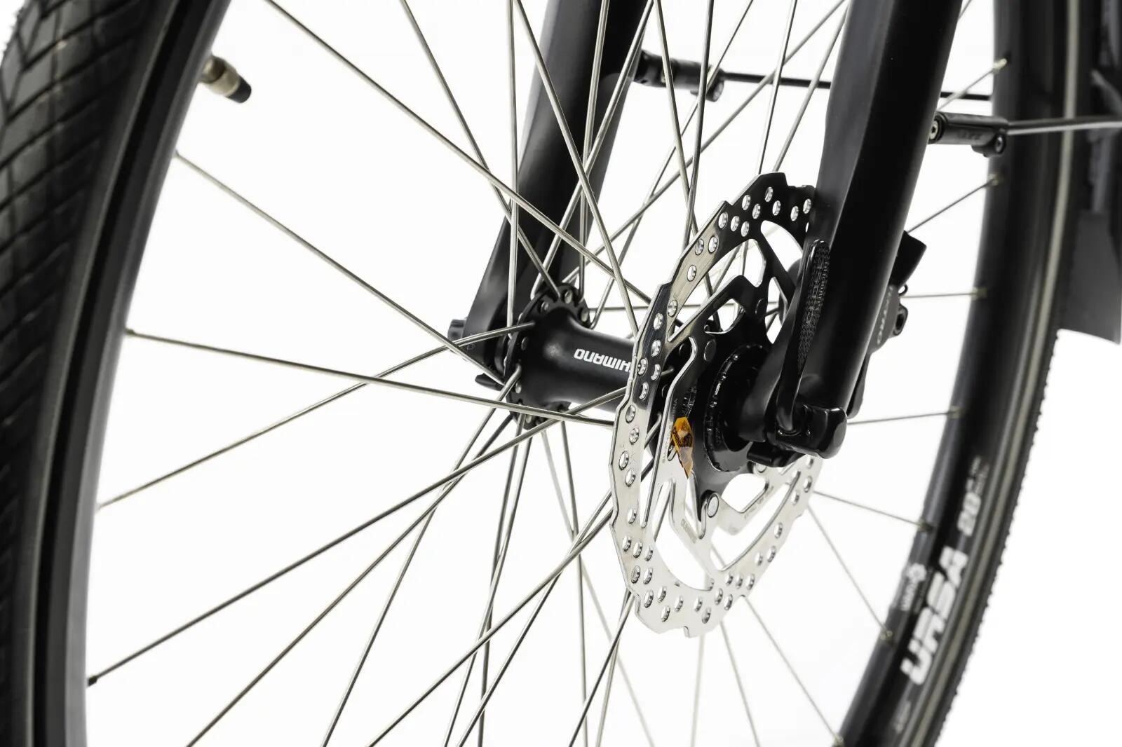 Bicicleta eléctrica Corwin 28427 - 28 pulgadas, 530 mm, gris brillante 4/5