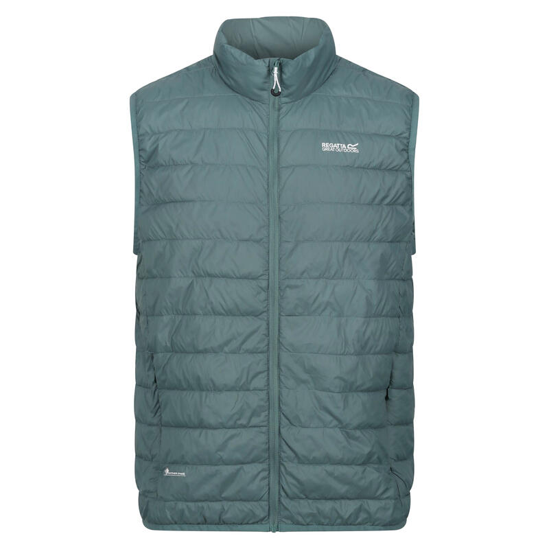 Gilet Imbottito Isolato Uomo Regatta Hillpack Pino Marittimo