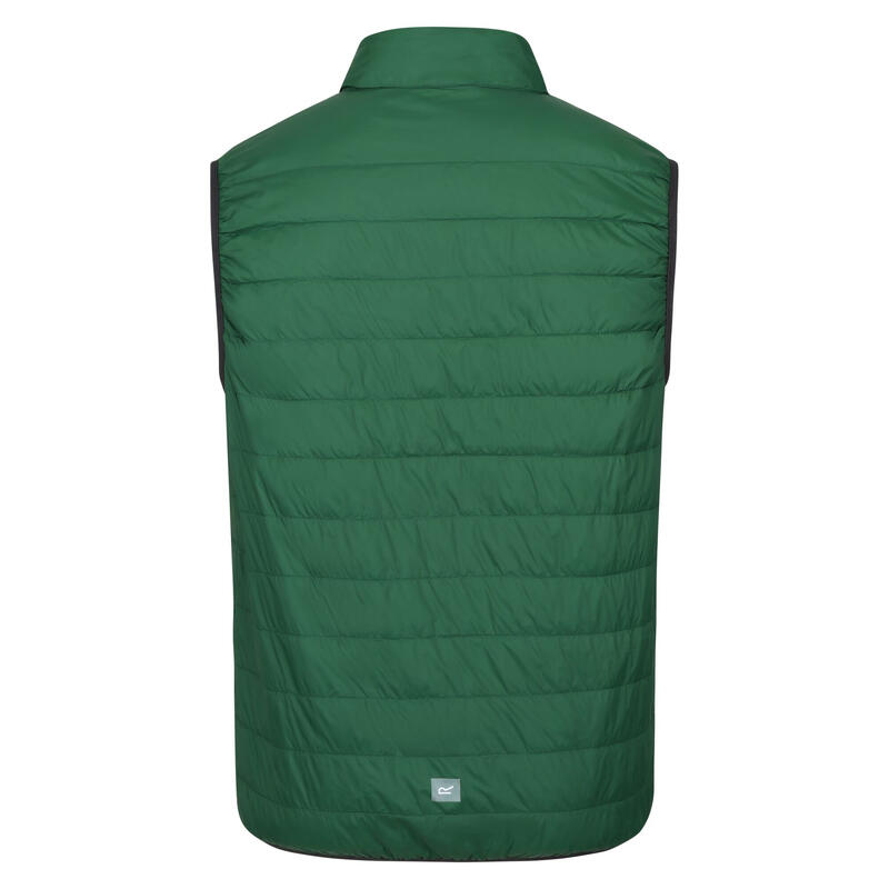 Veste sans manches HILLPACK Homme (Vert)