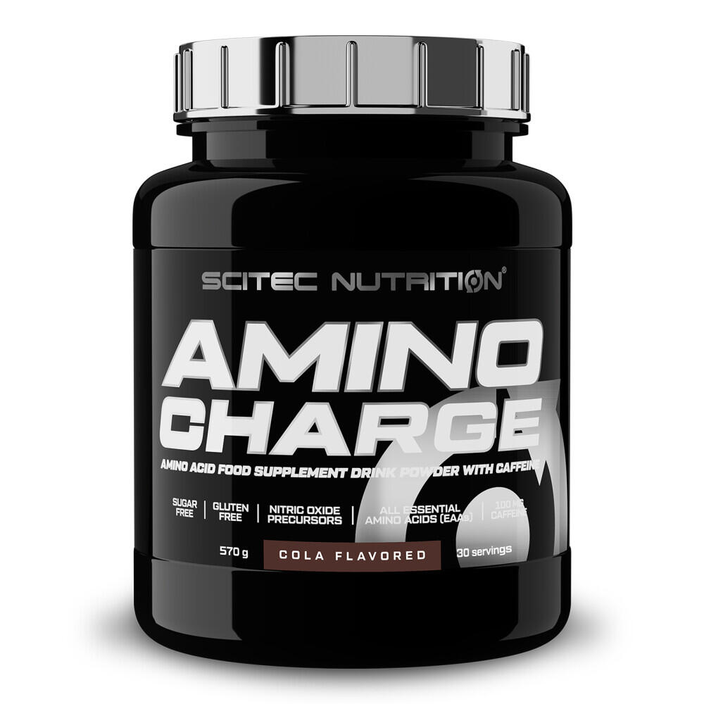 AMINO CHARGE (570G)
