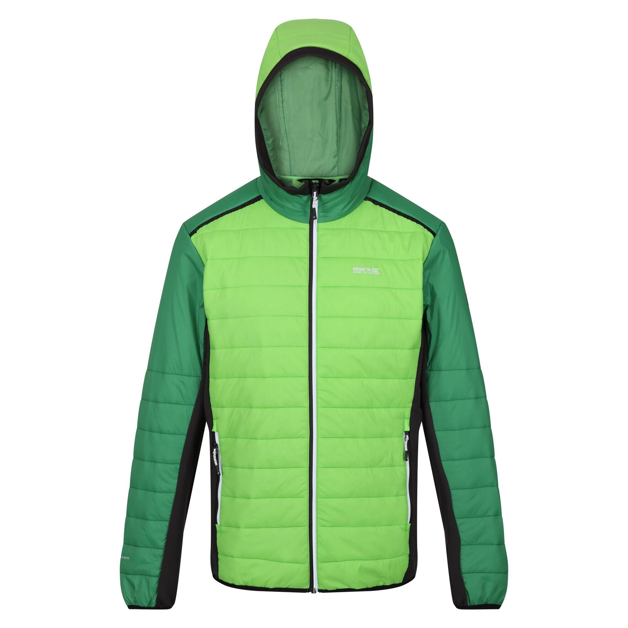Regatta Mens Trutton II Baffled Padded Jacket