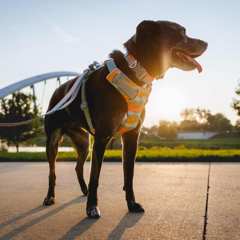Ham Front Range Ruffwear - XS - Spring Mountains