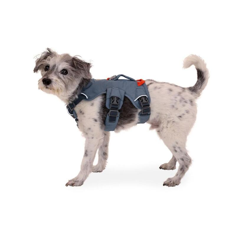 Szelki dla psa Ruffwear Web Master Harness