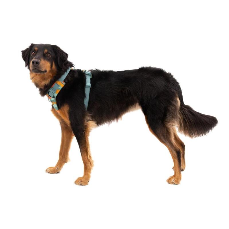 Ham Front Range Ruffwear - XS - Spring Mountains