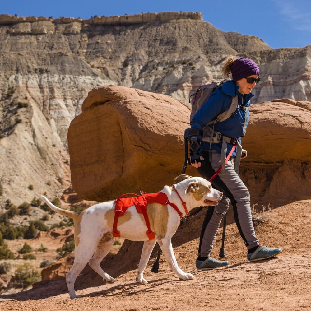 Szelki dla psa Ruffwear Web Master Harness 6/7