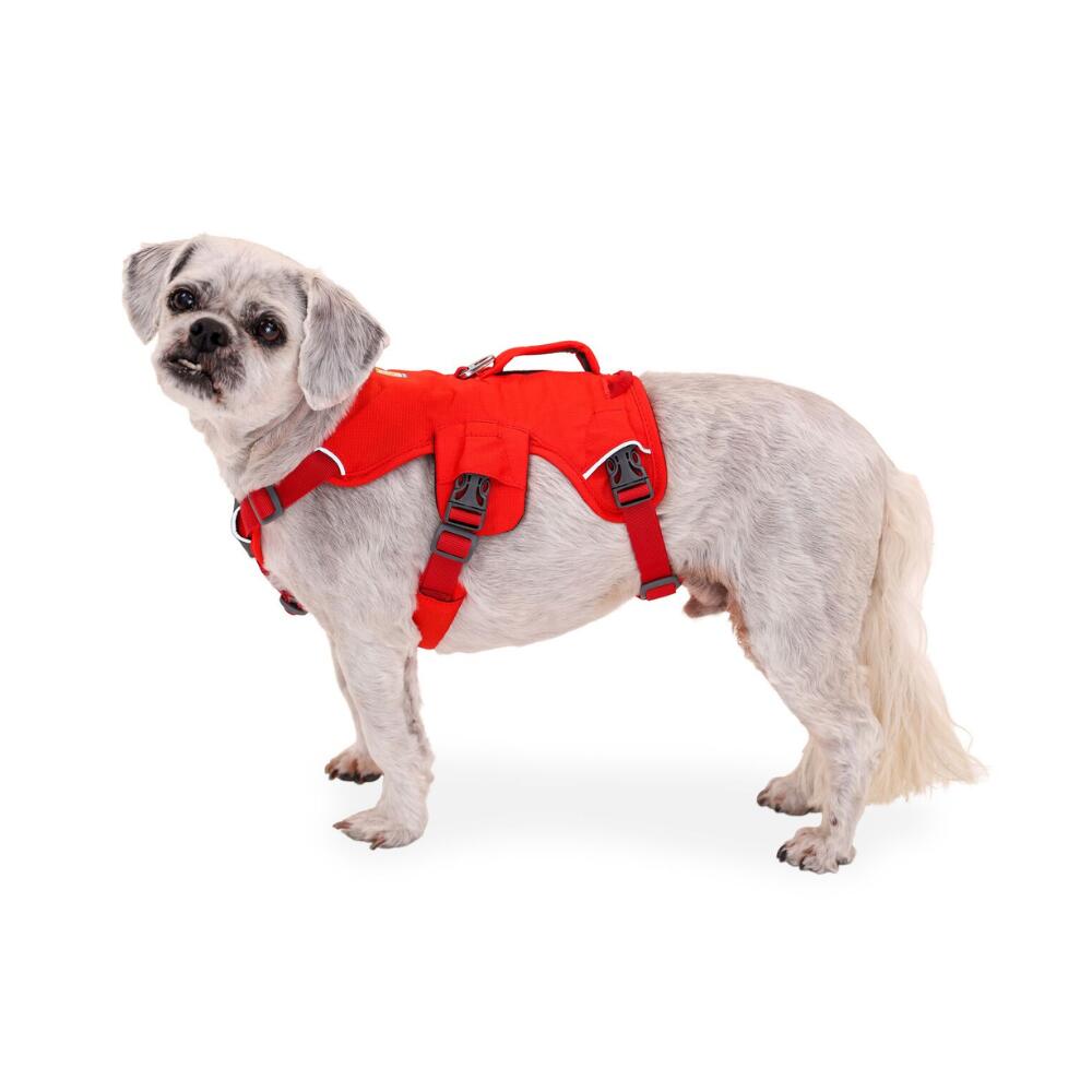 Szelki dla psa Ruffwear Web Master Harness 3/7