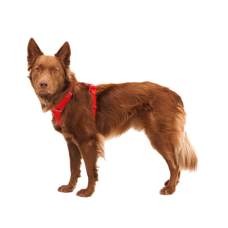 Ham Front Range Ruffwear - L-XL - Red Canyon