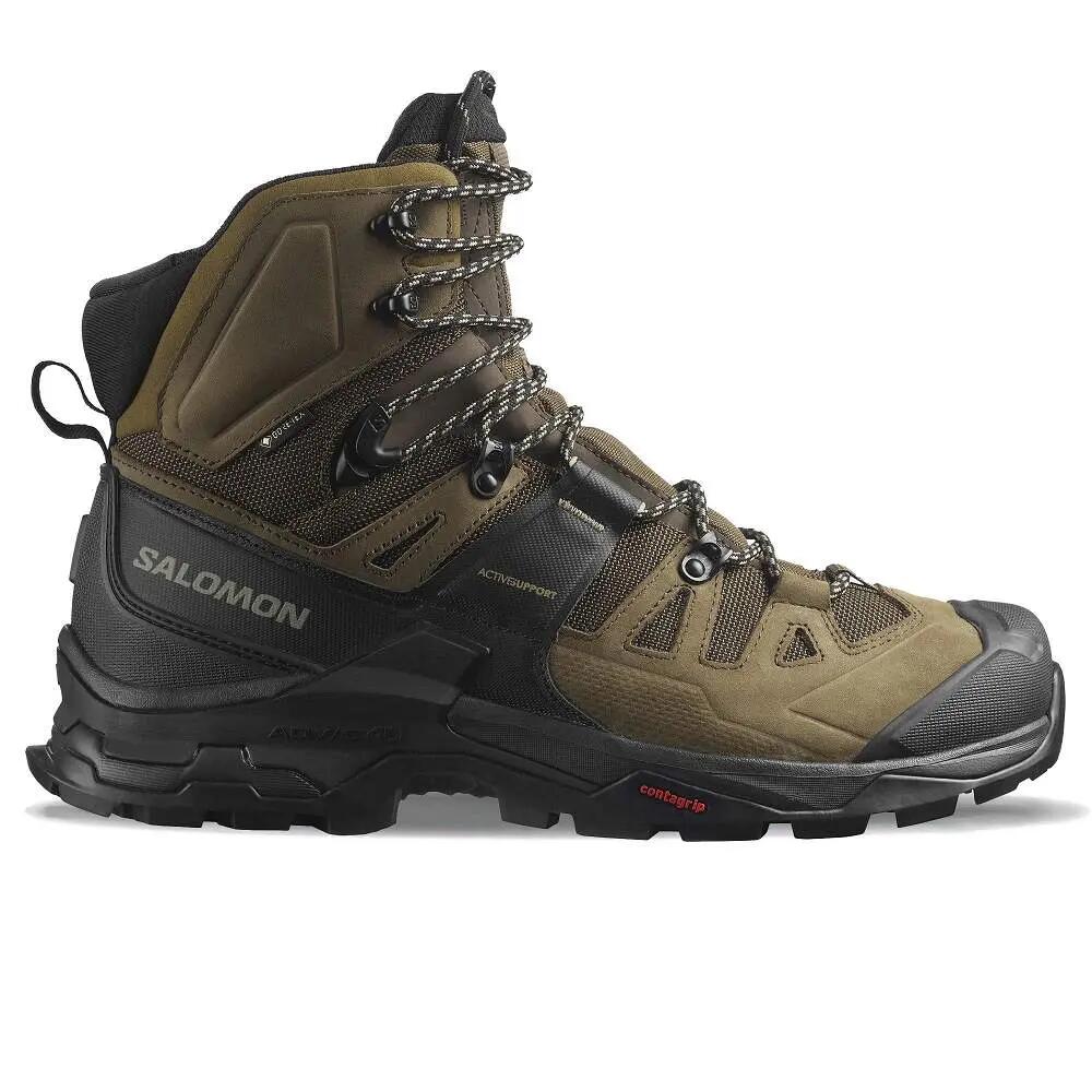 SALOMON picture