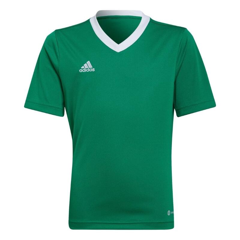 Adidas Sport T-Shirt Ent22 Jsy Y Teagrn/W Enfant