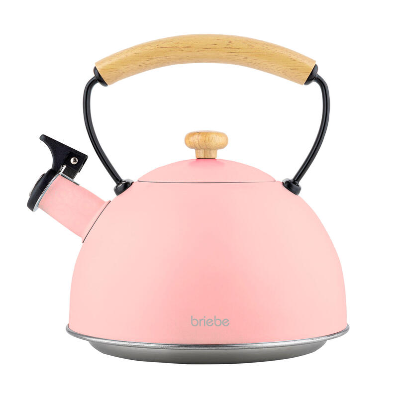 Bouilloire en Acier Inoxydable 2,3 Litres, Théière à Sifflet Poignée Bois briebe
