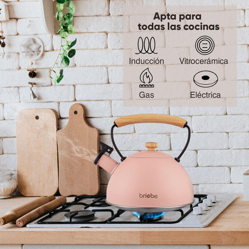 Hervidor de Agua de Acero Inoxidable 2,5 Litros, Tetera con Silbato briebe