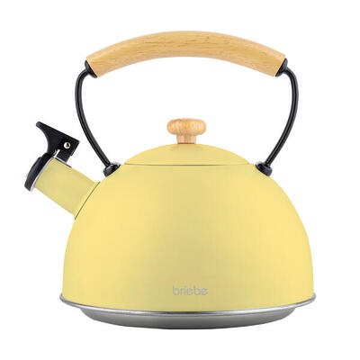 Wasserkessel aus Edelstahl 2,3 Liter, Pfeifkessel, Bakelit Handgriff, briebe