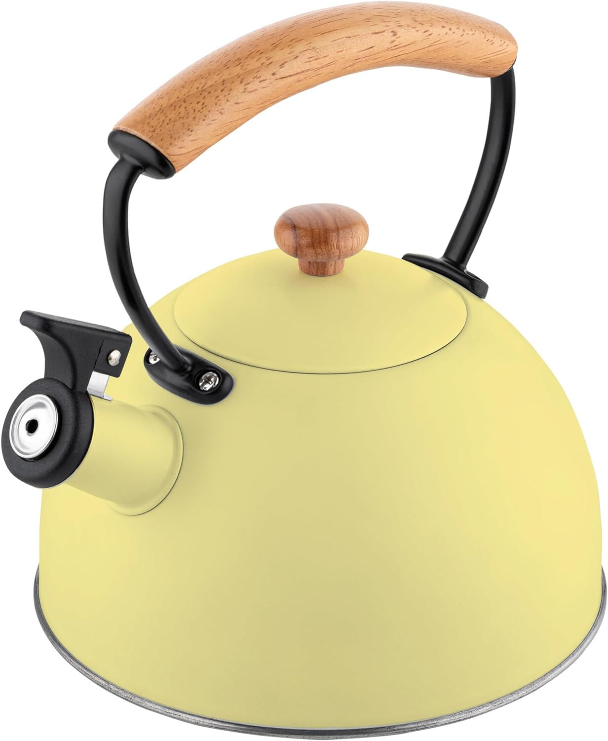 Bouilloire en Acier Inoxydable 2,3 Litres, Théière à Sifflet Poignée Cool briebe 6/8