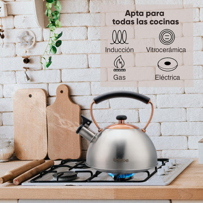 Hervidor de Agua de Acero Inoxidable 2,5 Litros, Tetera con Silbato briebe