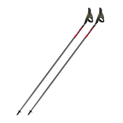 Fizan Carbon 3K Impulse Nordic Walking Stöcke