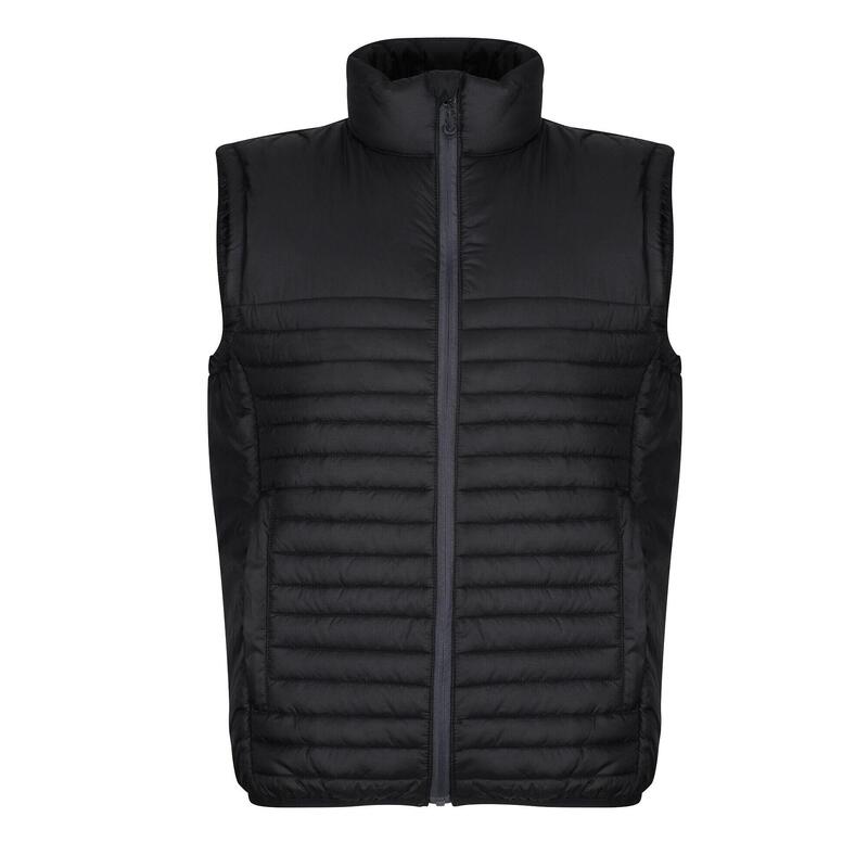 Gilet Riciclato Uomo Regatta Honestly Made Nero