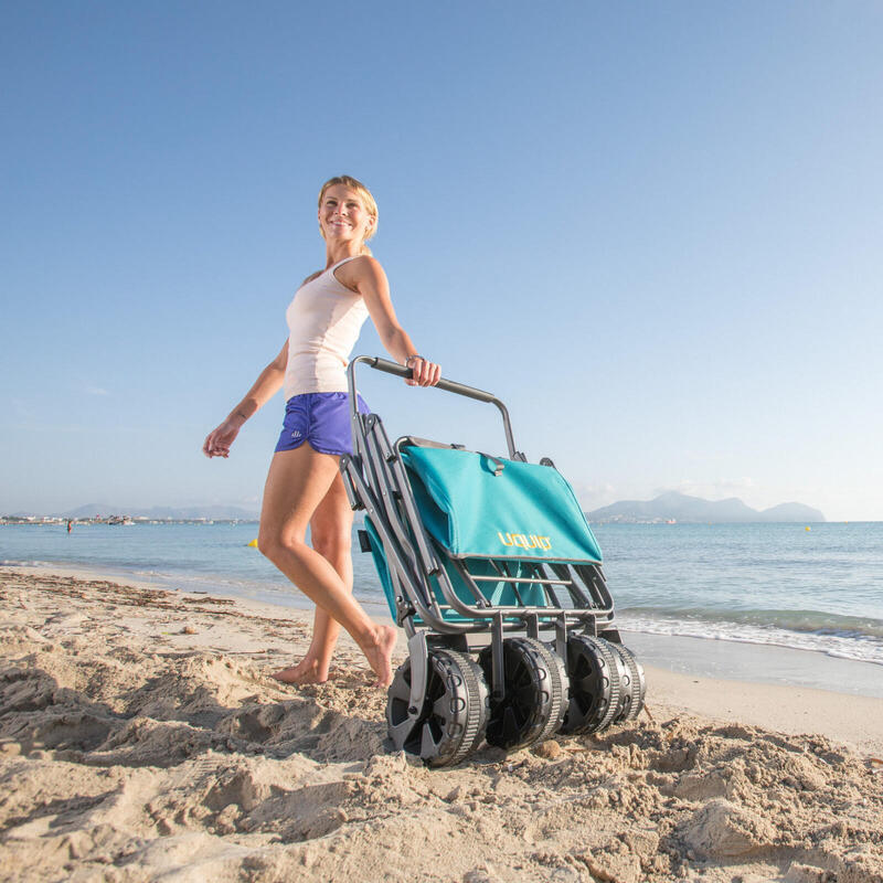 Chariot de plage Buddy Chariot de transport Chariot de jardin Pliable