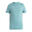 Icebreaker Merino 150 Tech Lite III Trekking-T-Shirt für Herren