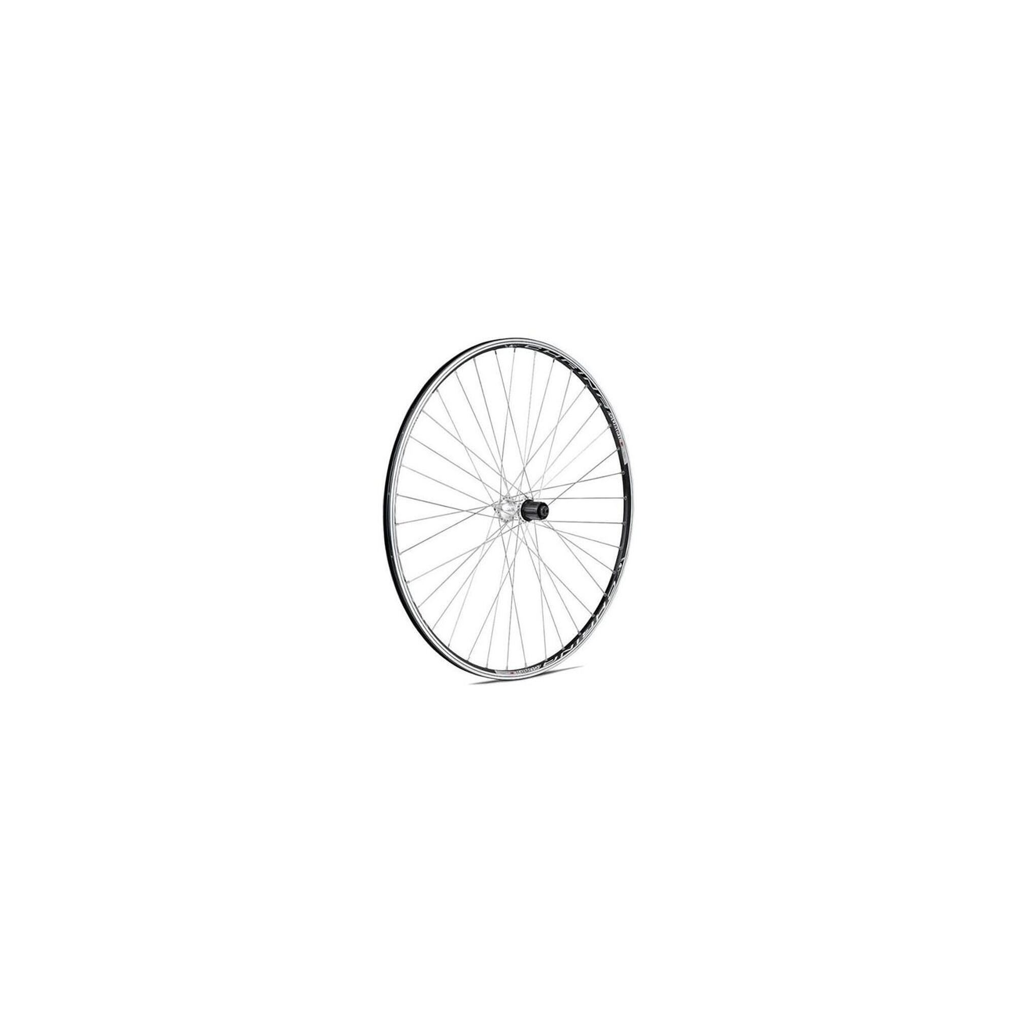 Rear MTB wheel 70 to 8 V Gurpil 700 Chrina