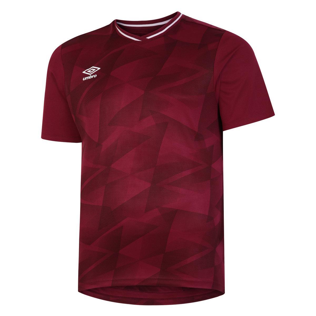 Men's TRIASSIC Jersey (Burgundy / Dark Burgundy)