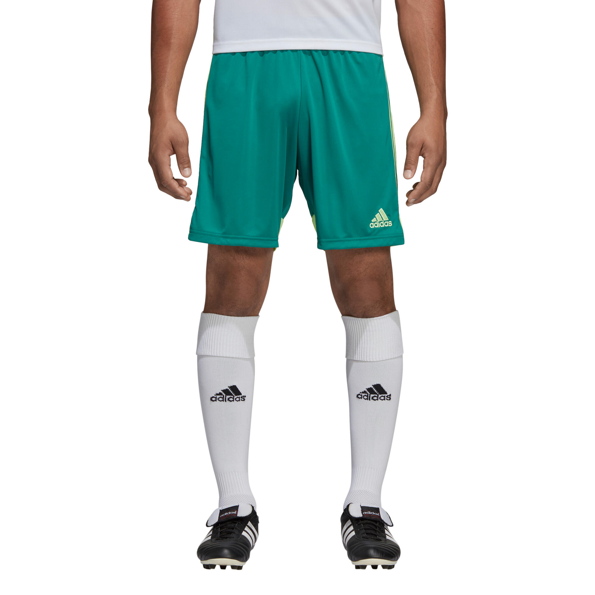 Krótkie spodenki piłkarskie adidas Tastigo 19 Męskie 2/5