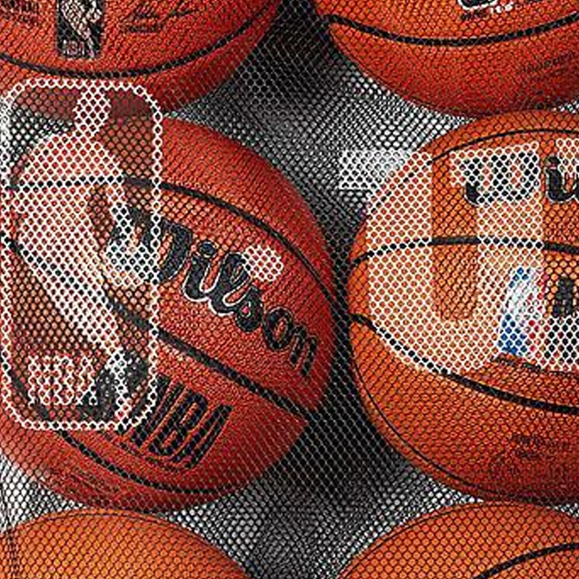 NBA Mesh Ball Bag (Black) 3/3
